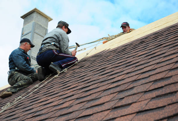 Trusted Encantada Ranchito El Calaboz, TX Roofing Contractor Experts